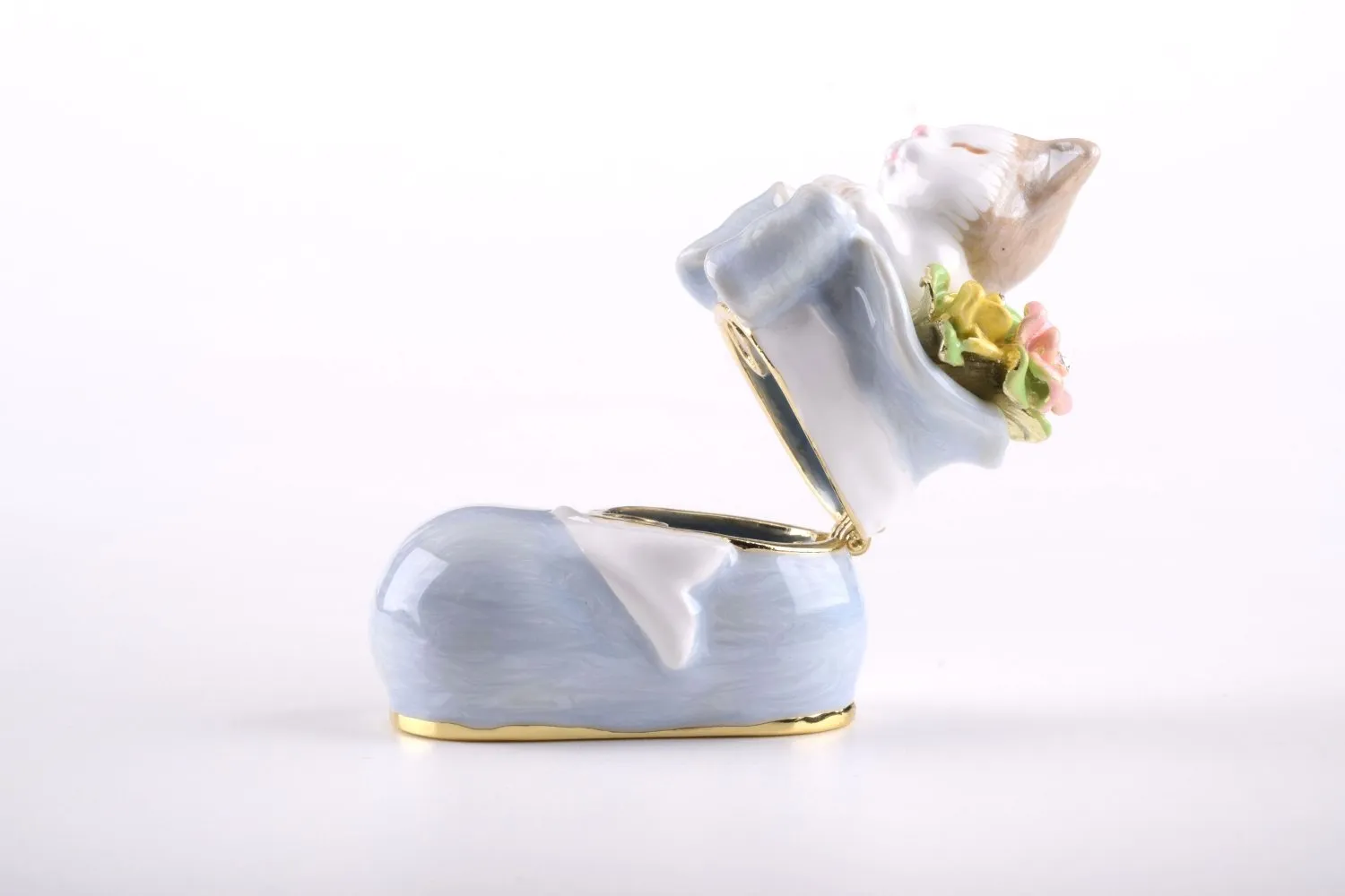 Cat in a Shoe