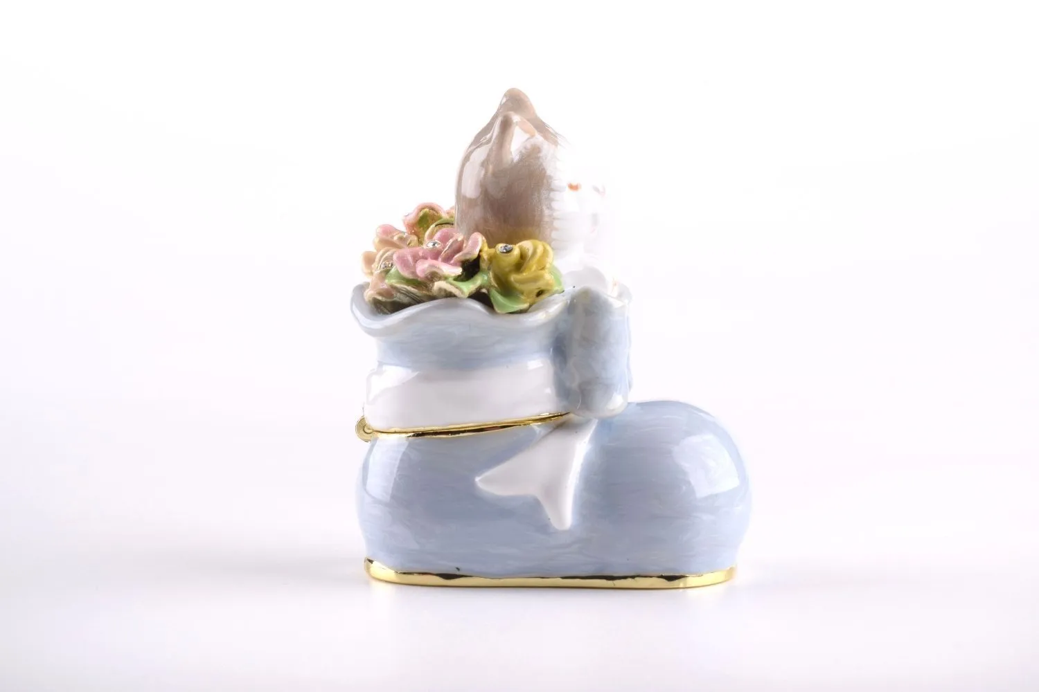 Cat in a Shoe